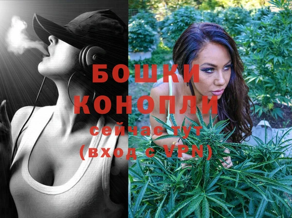 PSILOCYBIN Беломорск
