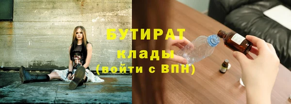 хмурый Аркадак