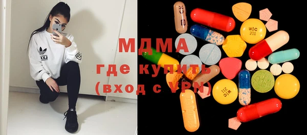 хмурый Аркадак