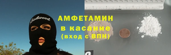 хмурый Аркадак