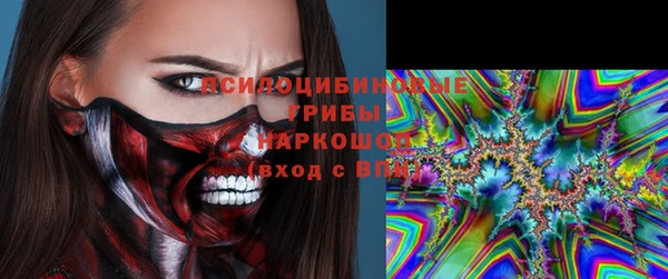 кокс Белокуриха
