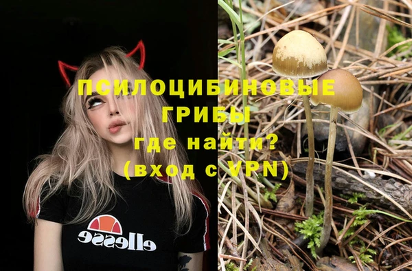 хмурый Аркадак