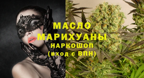 хмурый Аркадак