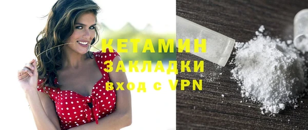 хмурый Аркадак